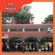 Zoo Negara Termasuk Giant Panda Tiket Open Date Tiket