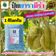 ปุ๋ยยาร่ามีร่า ดับเบิล 8-24-24 เม็ดสีฟ้าอ่อน แบบตักแบ่ง เป็นปุ๋ยคอมปาวด์ ทำให้พืชเจริญเติบโตอย่างรวด