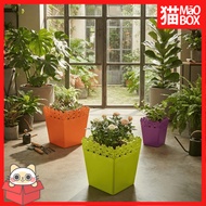 KOREAN SQUARE FLOWER POT 25 CM PLASTIC SQUARE FLOWER POT/ - MAOBOX