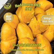 SYR | 3+1!! | Red Prawn D13 Durian (~500g/Box)