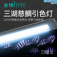 【好康】吉印刀鋒魚缸燈三湖慈鯛魚燈燈照明高顯色led防水慈鯛燈特價