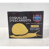 ROMANZINI ESCARGOT SHELL VERY LARGE 4DZ