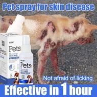 Dog Spray For Skin Disease Pet Skin Treatment Spray Dog Skin Disease Treatment Pet anti fungal spray