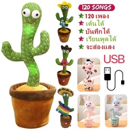 【BermaBaby】กระบองเพชรเต้นได้ พูดตามได้ เต้นกระบองเพชร กระบองเพชรเต้นได้ 120 เพลง ของแท้100% อัดเสียง