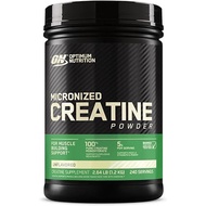Optimum Nutrition ON Creatine Powder 1200g non-flavored 100 Pure Monohydrate