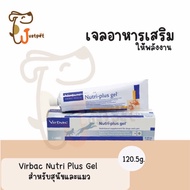 gel A Dietary Supplement For Dogs And Cats Digesting And Easy To Absorb (1 Tube/120g.)