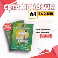 [ReversibleDesign] Custom A4 Brochure Design Custom A4 Size Folding Brochure Printing/ Free Design