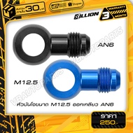 M12.5 Banjo Head Threaded AN6