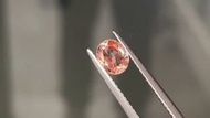 👑0.95卡斯里蘭卡無燒天然日落色帕帕拉恰藍寶石裸石     
👑0.95ct Sri Lanka Natural Padparadscha sapphire  Gemstone