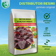 Benih Bayam Merah 1 kg Urban Farming Premium Unggul Nutrisi Tinggi Bisa Cabut & Potong
