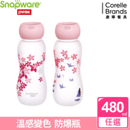 【Snapware 康寧密扣】耐熱感溫玻璃曲線水瓶 480ml(兩款可選)