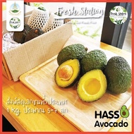 อโวคาโด พันธ์ แฮส HASS 🥑 ราคาต่อ kg. อะโวคาโด จากไร่ โครงการหลวง เชียงใหม่ ผลไม้ avocado อาโวคาโด้ ส