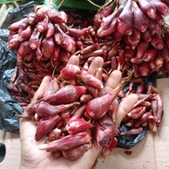 Bawang dayak fresh 1kg/bawang dayak kering kualitas bagus/bawang dayak bubuk murni/cod