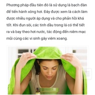 1 kg of fresh, clean eucalyptus leaves, fresh (eucalyptus leaves)