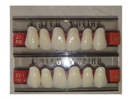 Gigi Palsu Depan atas (anterior upper) per papan isi 6 butir/pcs caiyu gigi palsu original asli