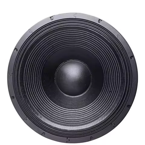 Z-215 21 Inch Subwoofer Speaker Ferrite 250 Magnetic 125 Core Copper Wire RDM Selvedge 2400W 8 Ohm 1