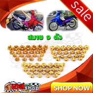 Gold-Colored Nut Set All Models 9 Highlights 3 Types To Choose From