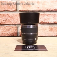 NIKON1 J 30-110mm f3.8-5.6 VR Second 5969