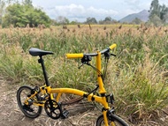 Brompton 小布- Bumblebee 🐝 Yellow 2023
