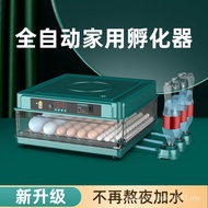 Incubator Automatic Smart Chicken Miao Duck Goose Incubator Small Household Incubator Pigeon Parrot Egg Incubator