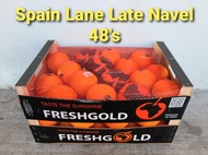 Sunkist Navel Orange SIZE: L (Sunkist 3107 size 88) / Egypt or Spain Navel Orange SIZE: L - (4 8 or 