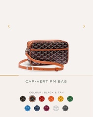 Goyard Cap-Vert PM Bag