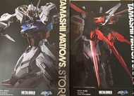 徵收  徵收 徵收 METAL BUILD STRIKE GUNDAM & AILE striker