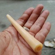 Once pipa Iga duyung original 13cm bulat pucuk