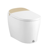 COTTO สุขภัณฑ์อัตโนมัติ C10122 SR