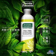 【星期四農莊】 Thursday Plantation 茶樹日常洗髮精 250ml (澳洲原裝進口)