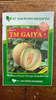 Buah Melon f1 TM gaiya tani murni isi 500btr cocok di tanam di dataran rendah - menengah umur berbun