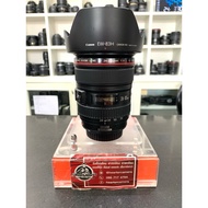 Canon EF 24-105 mm F4 L is USM