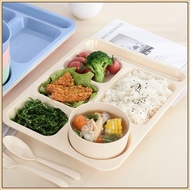 Divided Plates Wheat Straw Lunch Trays Cafeteria Trays Microwave Dishwasher Food Separator Plates