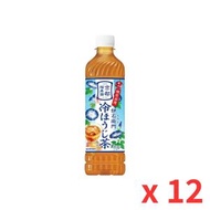 伊右衛門綠茶 冷焙綠茶風味 (600ml) x 12 支