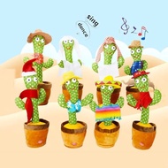 (BATRAI Cas) Cactus DANCE Toy Cactus