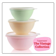 tupperware vantage bowl (1 set)