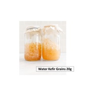 Water Kefir Grains 20g