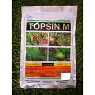 500G Topsin M Thiophanate-methyl 70% Racun Kulat Fungicide