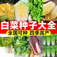 Chinese Cabbage Seeds Cabbage Seeds Vegetables Yandong Cabbage Seeds Winter Four Seasons Autumn Cabb