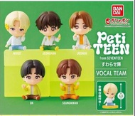 【出 全新】Seventeen Petiteen 扭蛋 Joshua