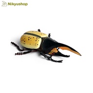 [Nikyushop] Hercules Beetle Rhino Beetle Insect Animal Display Educational Toy
