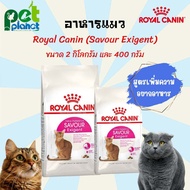 [2kg.][400g.] อาหารแมว Royal Canin Savour Exigent โรยัลคานิน อาหารแมว สำหรับ แมว ทานยาก สูตรเพิ่มความอยากอาหาร ขนมแมว อาหารแมวแบบแห้ง อาหารสัตว์เลี้ยง