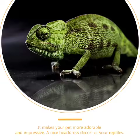 8Pcs Pet Hat Handmade-Like Knitted Hats for Snake and Lizard Pets Holiday Costume Stylish Mini Weara