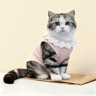 Autumn and winter lace trim cute vest pet clothing apparel pet apparel