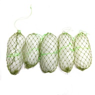 JARING PANCING KETAM / IKAN