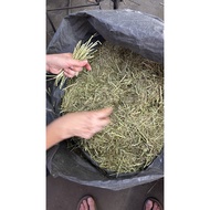 Timothy chaff 1kg , 3kg , 5kg