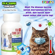 Cat flu medicine, a solution to relieve coughs and colds, a fast healing process for your favorite c