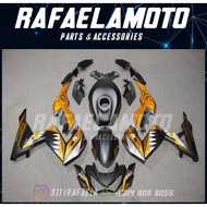 Kawasaki Z250 Year 14-18 Full Coverset Fairing 5