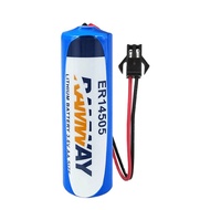 RAMWAY ER14505 3.6V AA 2700mAh Non-rechargeable Lisocl2 Lithium Ion Batteries for Water Smart Meter