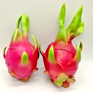[Simulation Model] Simulation Fruit Vegetable Fake Dragon Fruit Plastic PU Dragon Fruit Big Dragon F